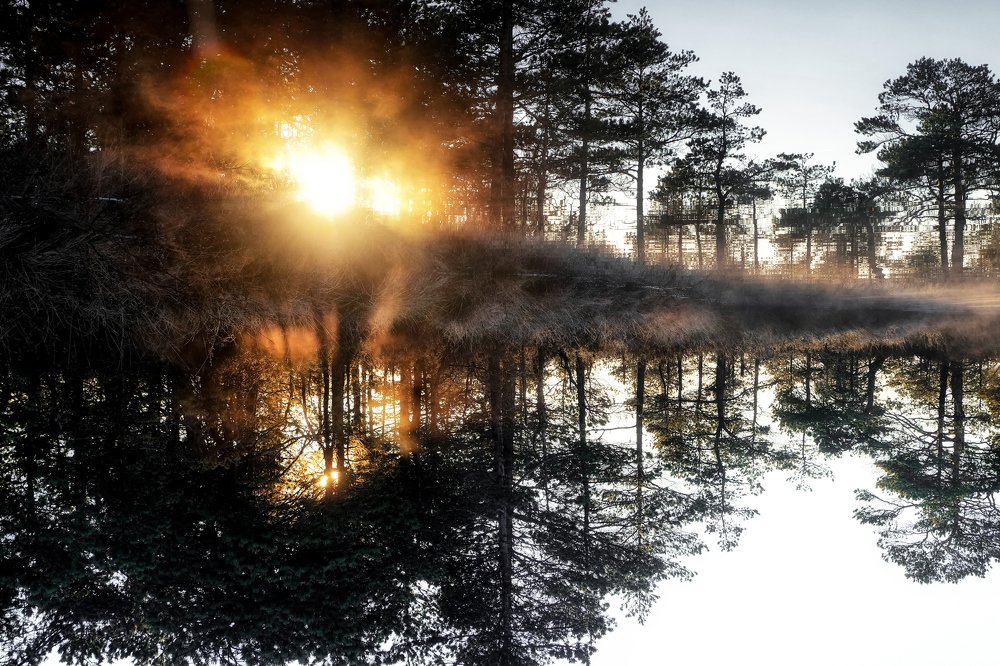 Inverted world / перевёрнутый мир