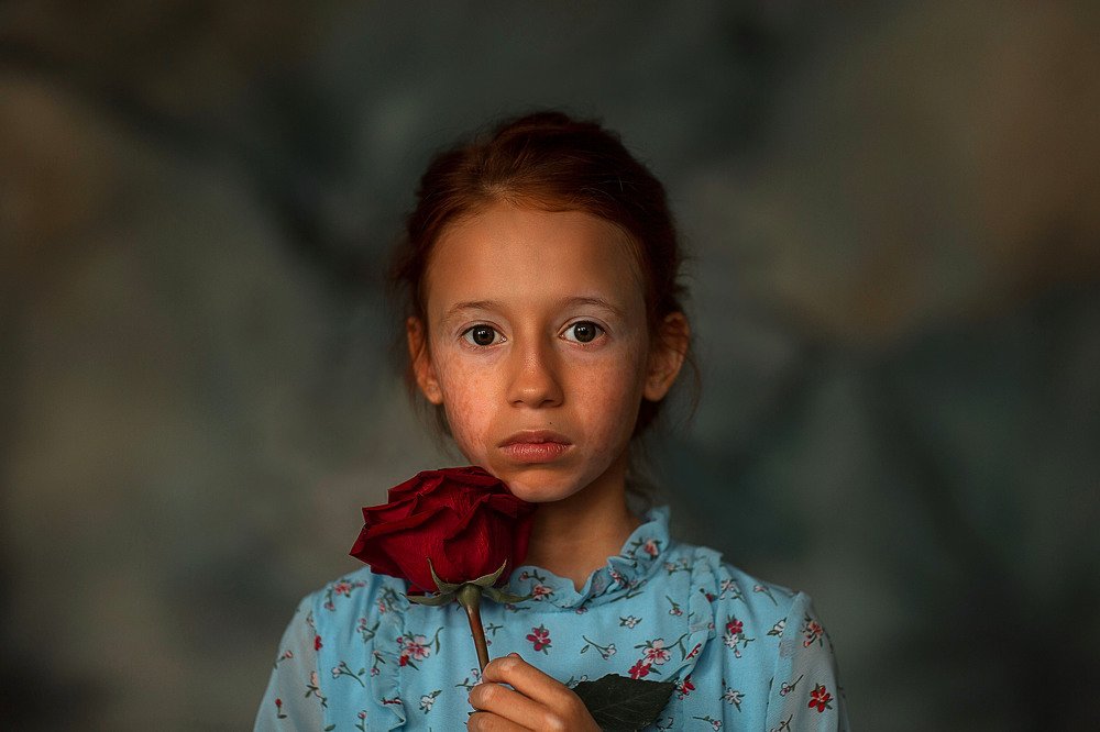 Майская роза