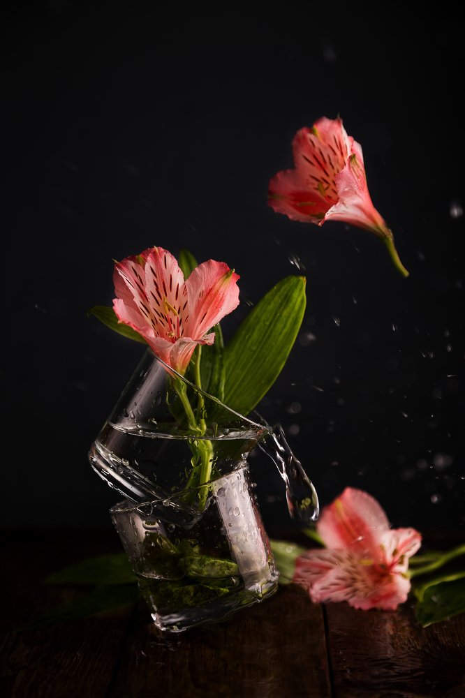 Дыхание весны