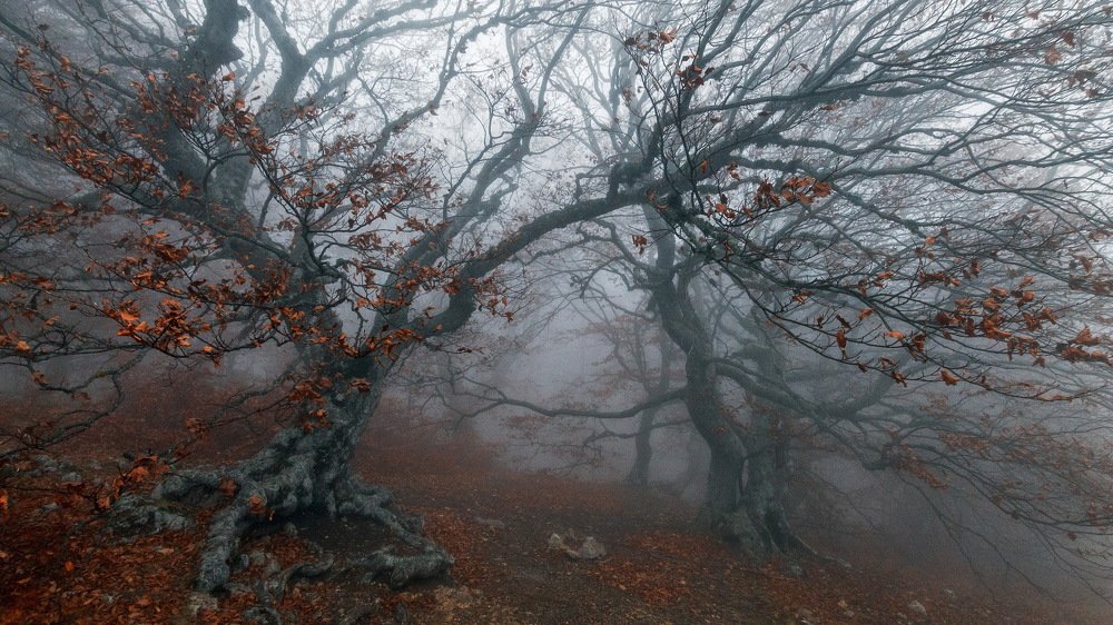 Туман Чатыр-Даг