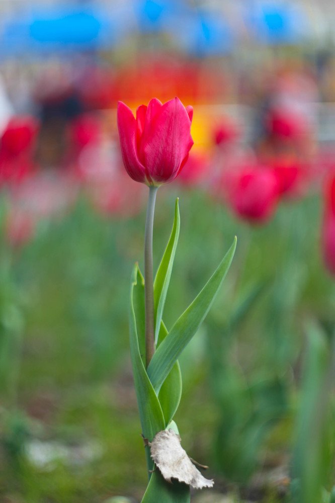 Photograph by Анастасия Подситкова