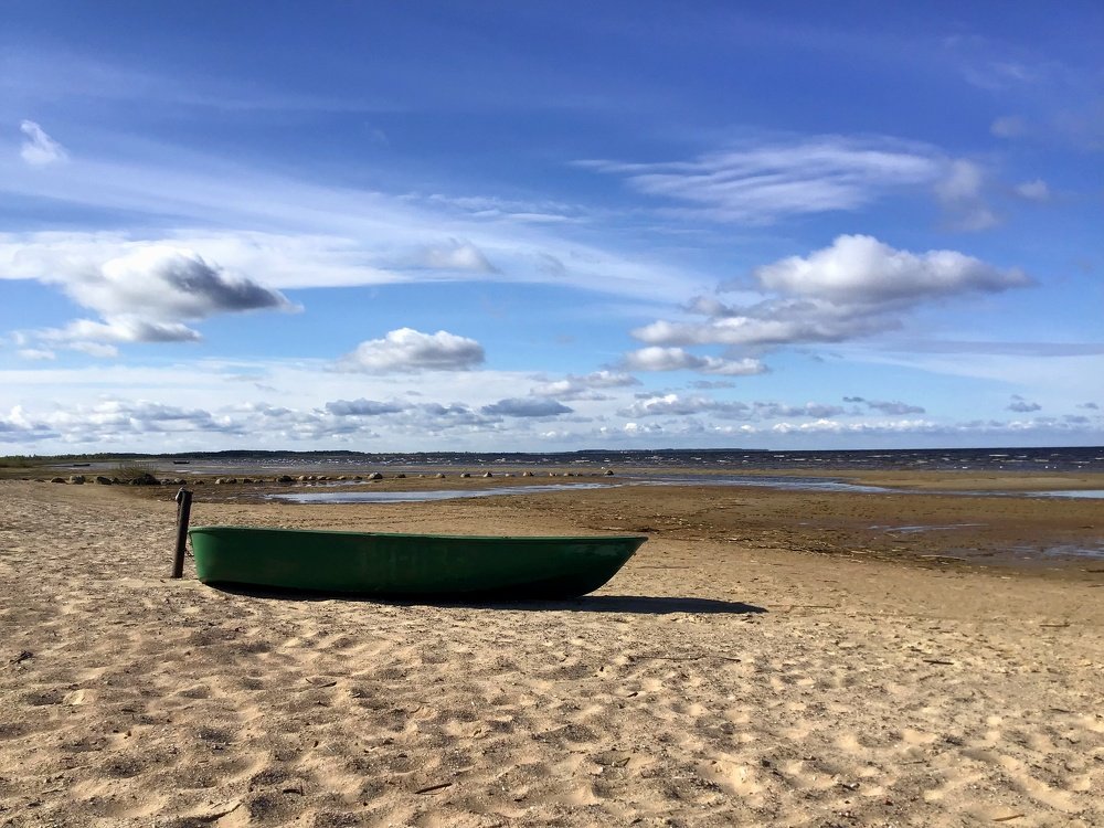 Холодное утро