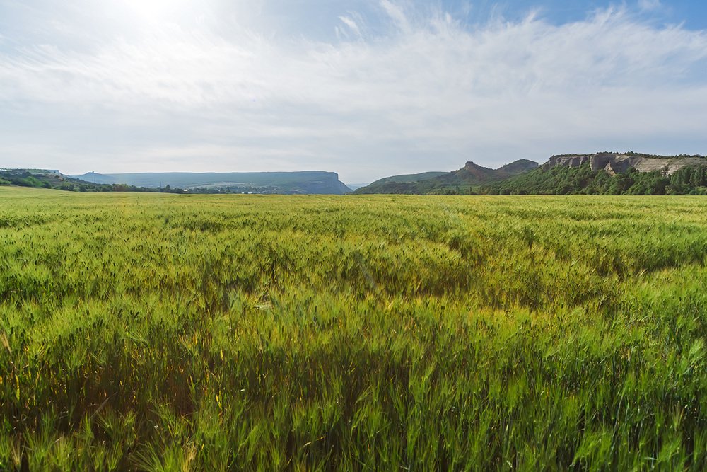 Бельбекская долина