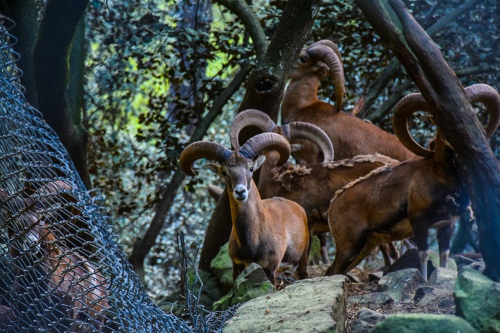 Photograph by Petros