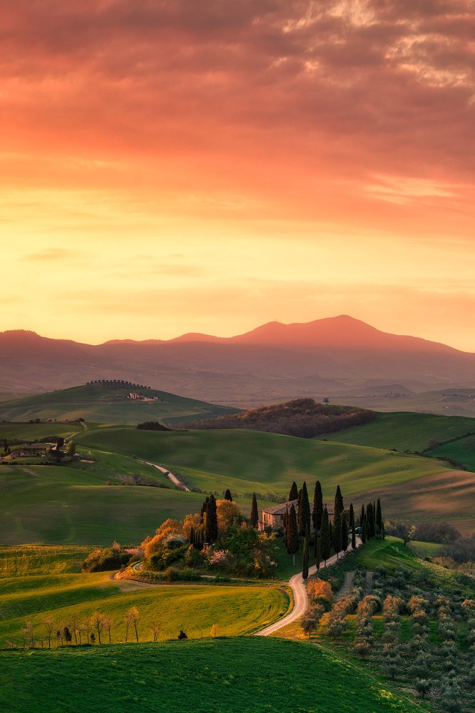 The Tuscan View