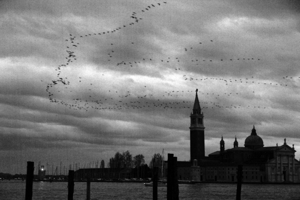 Photograph by Станислав Ситников