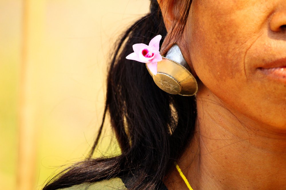 A flower from hillside