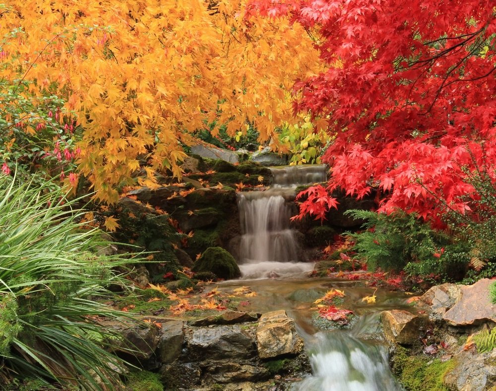 Autumn waterfall