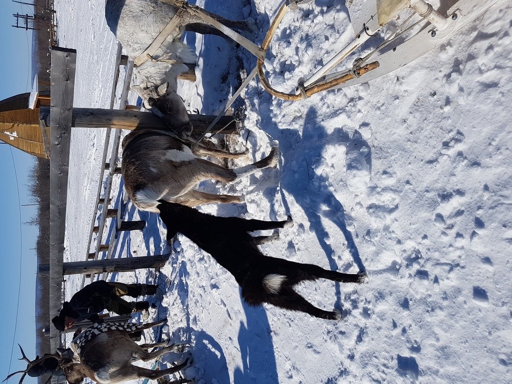 Photograph by Дарья