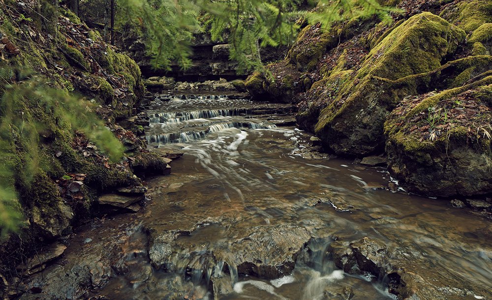 Kalamecu-Markūzu gravas. Latvia 2019