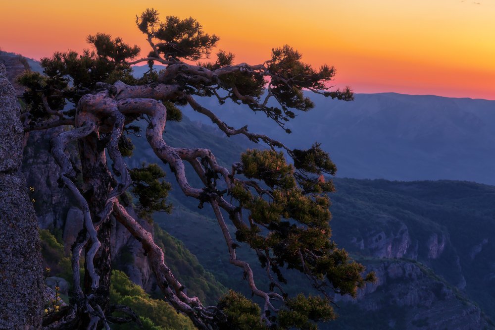 Фотография автора Евгений Ерохин