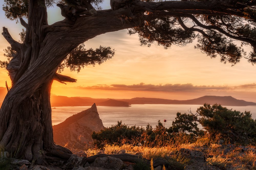 Фотография автора Евгений Ерохин