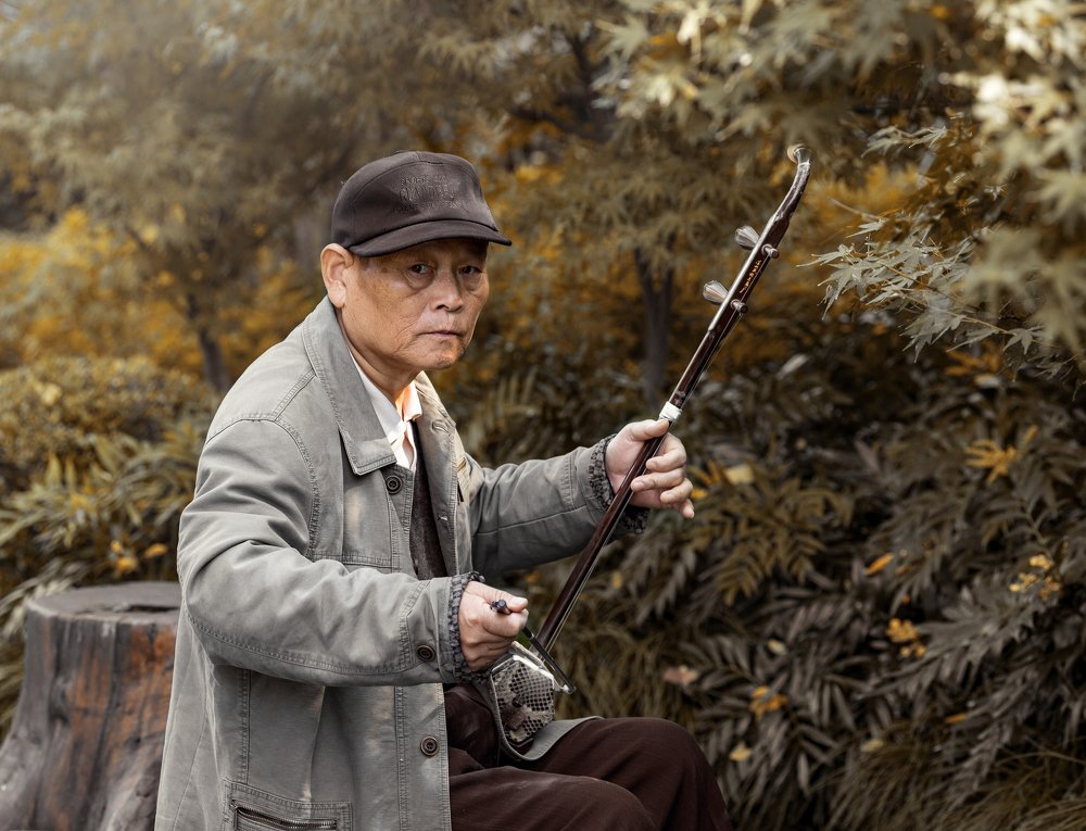 Music of chinese autumn garden