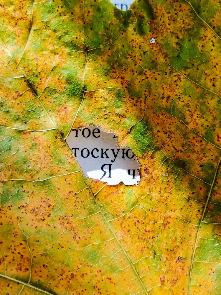 Осень...листья...