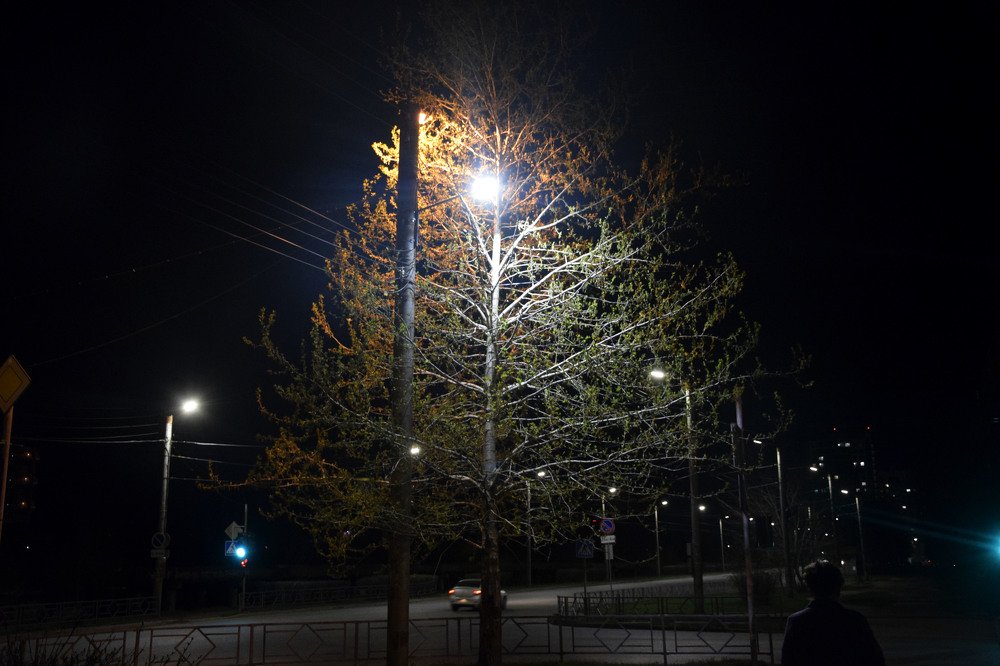 теплая ночь