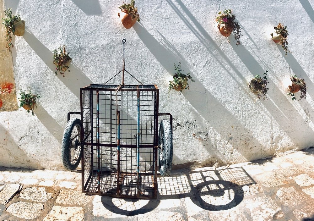 Photograph by Роман Жаров