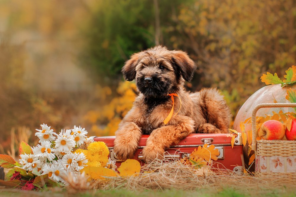 Прекрасная осень