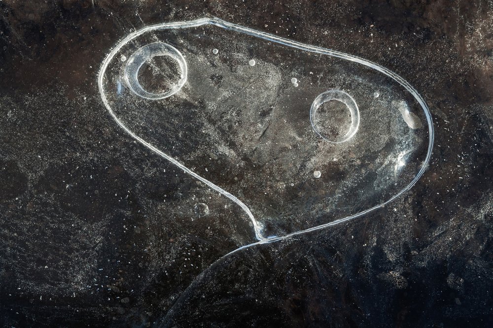 Привидение во льдах