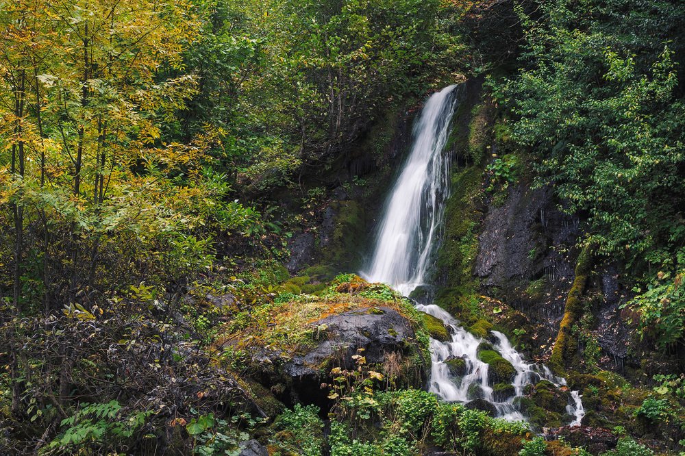 Птичий Клюв