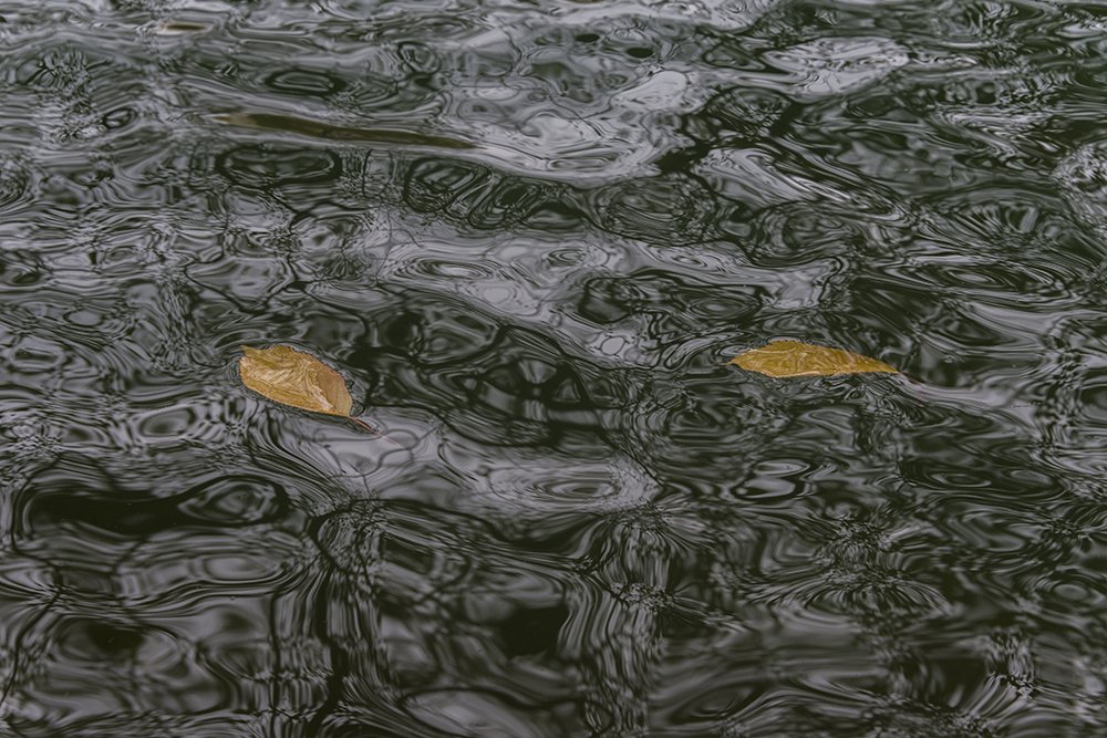 Серия "Осенние страсти-2"