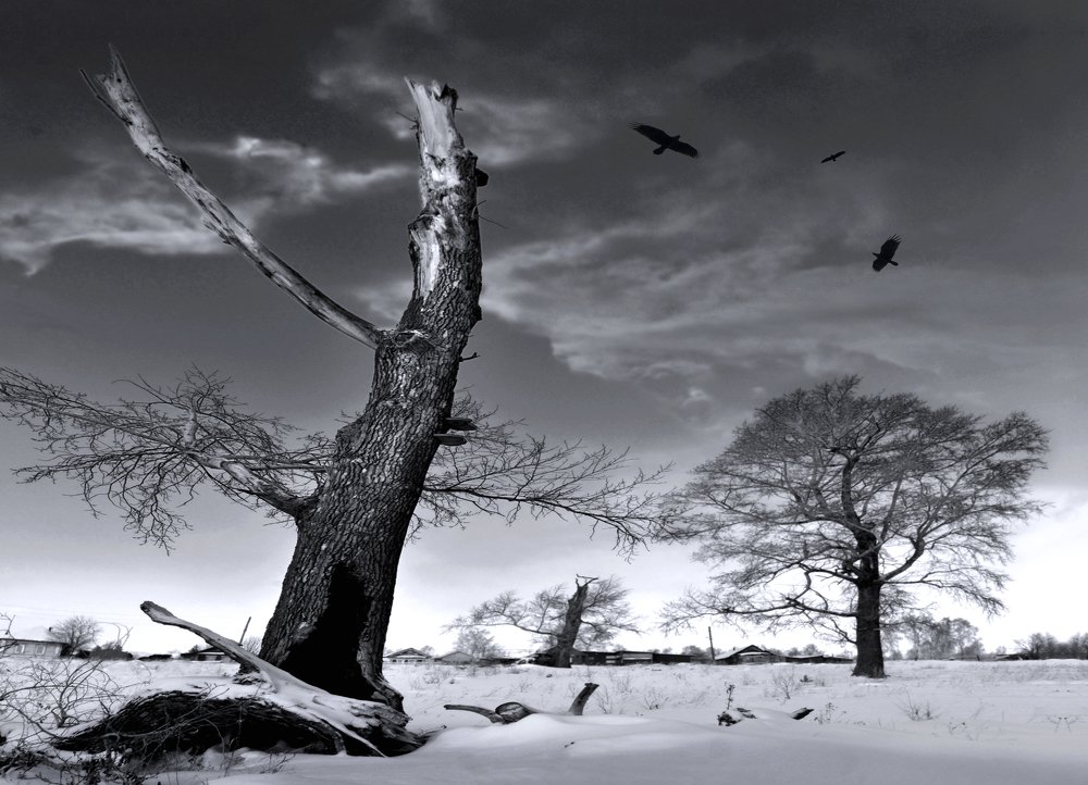 На пустыре...