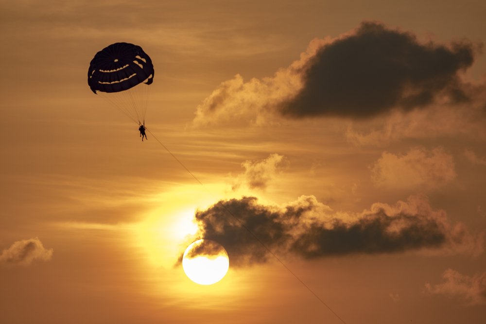 Gliding through life