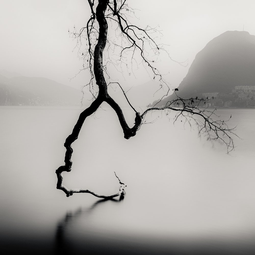 Swinging On The Water