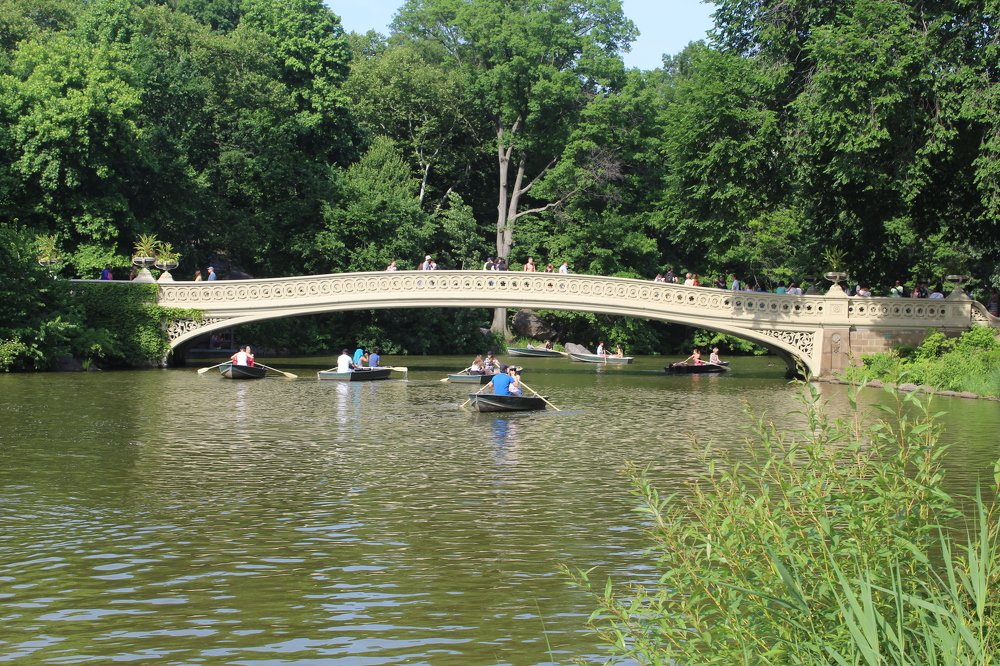 a boat ride under the bow bridge
