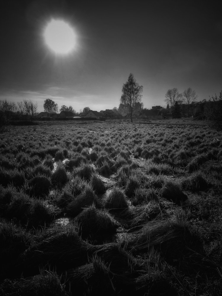 закат на болоте