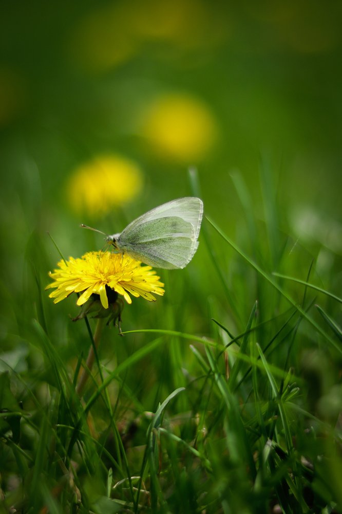 Photograph by Екатерина Михайлова