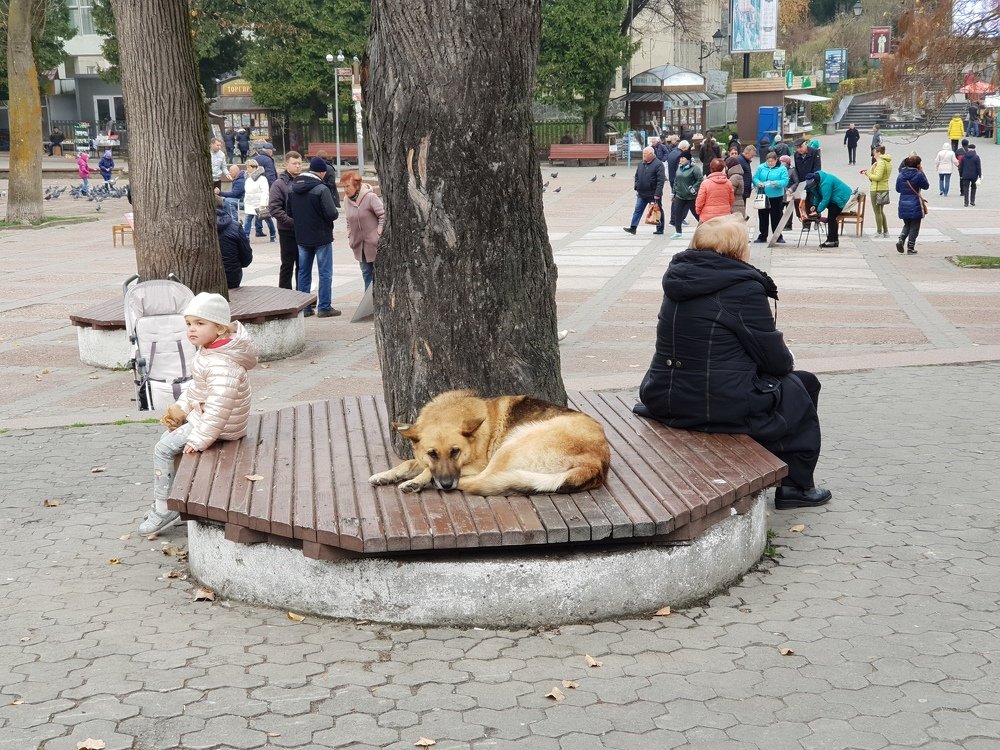 Photograph by Инга