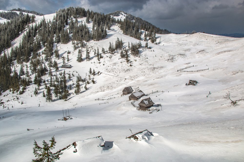 Зима  на  полонині.