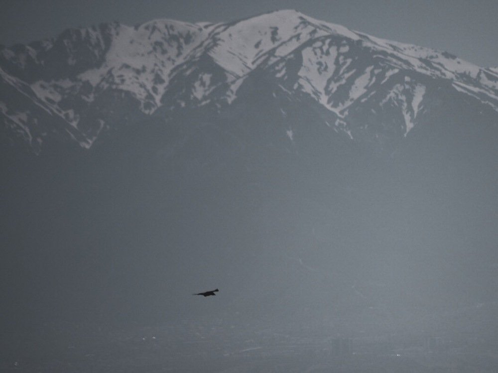 Photograph by Сергей Гусев