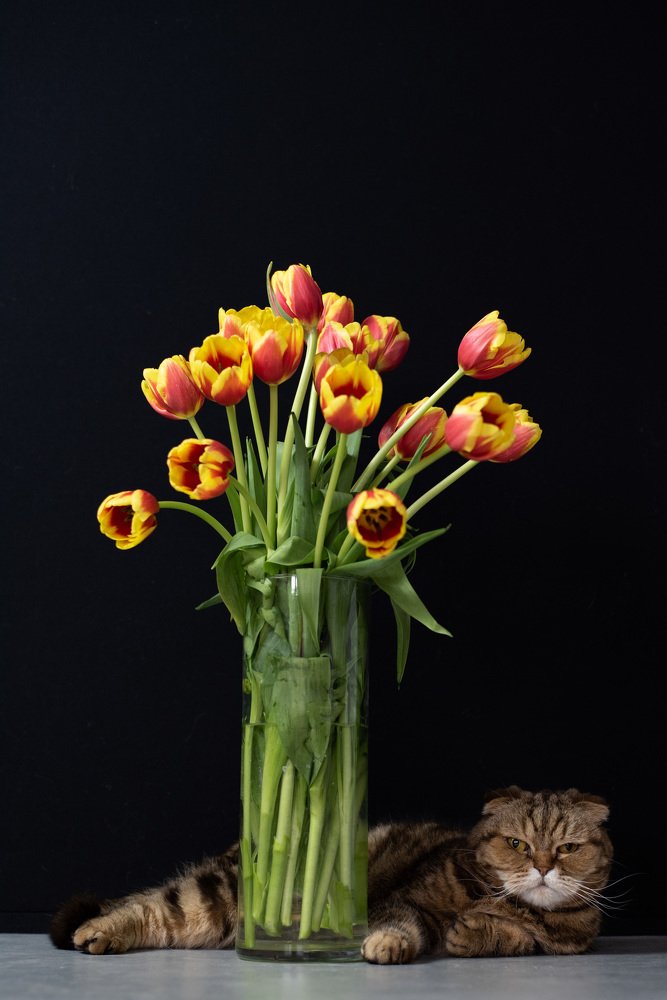 Photograph by Прокошева Екатерина