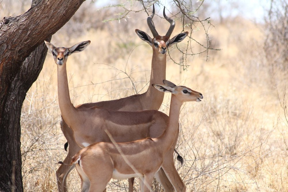 Photograph by Martin Weru