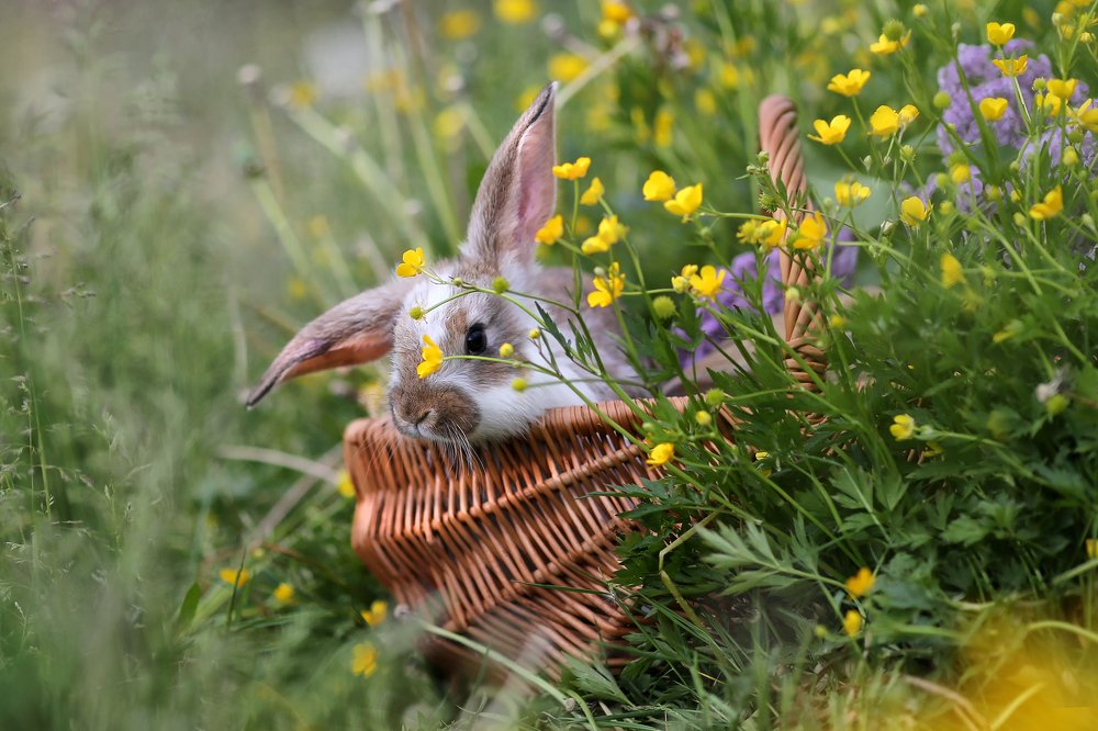 Доброе утро