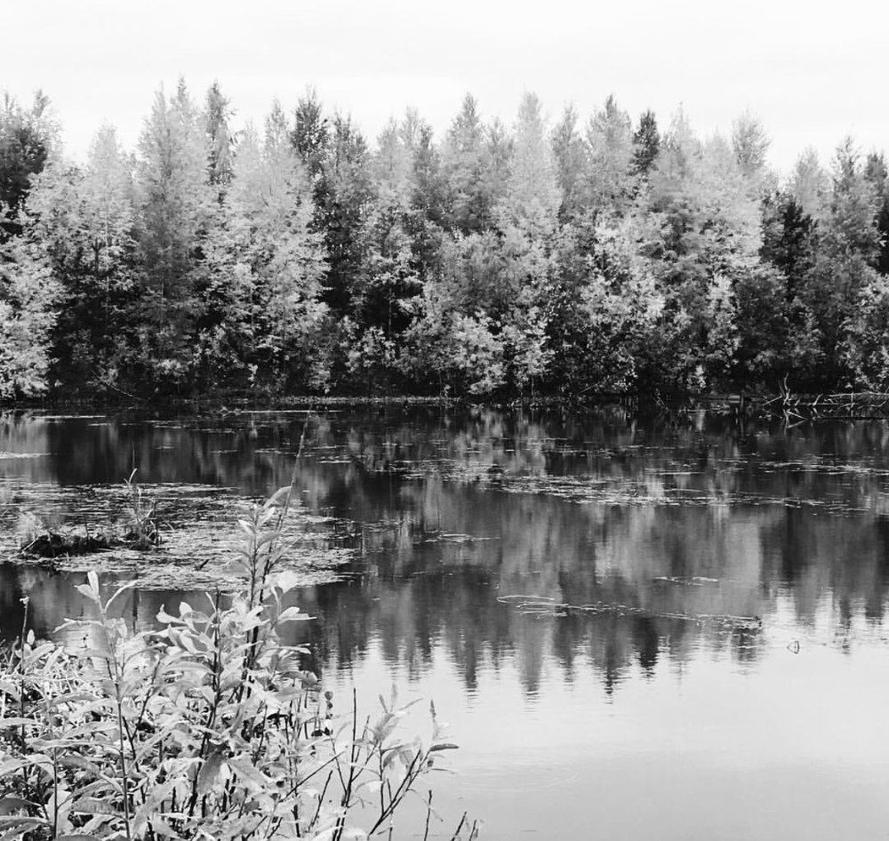 Осенний лес