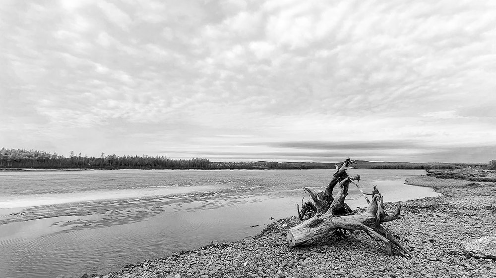 Весна на озере.