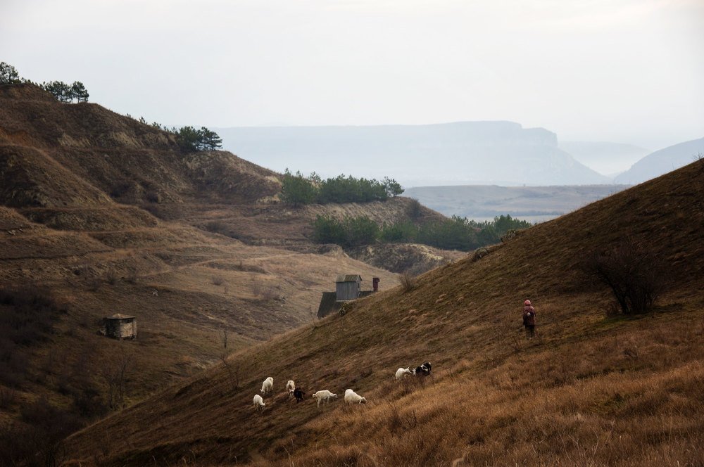 Горный пейзаж