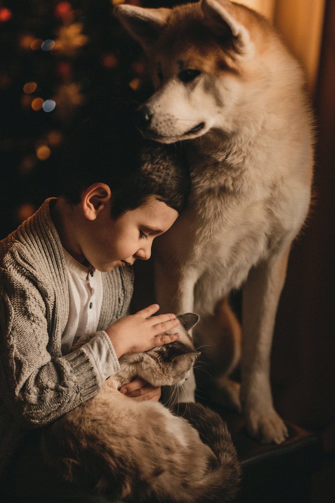 Любовь в заботе