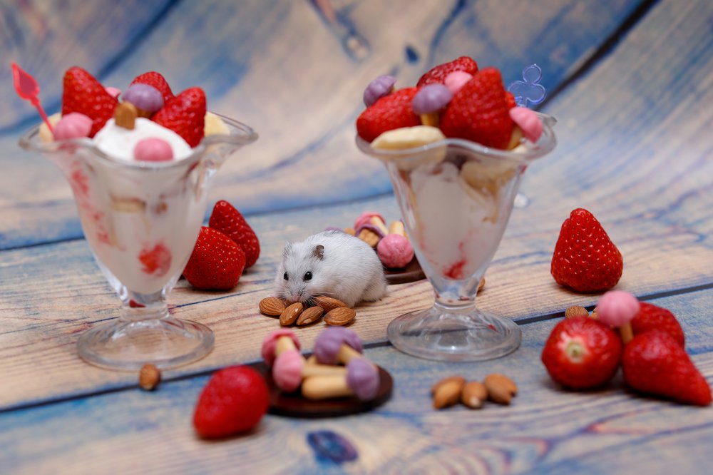 Сладкий десерт Рикки