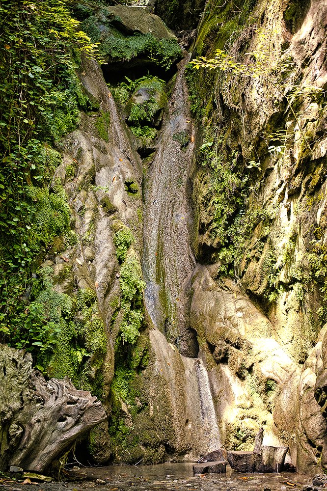 Слезы Деда Мамеда