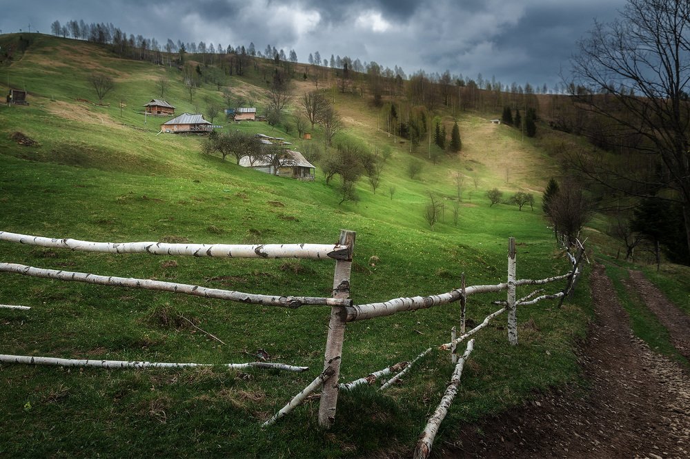 Карпатские полонины...