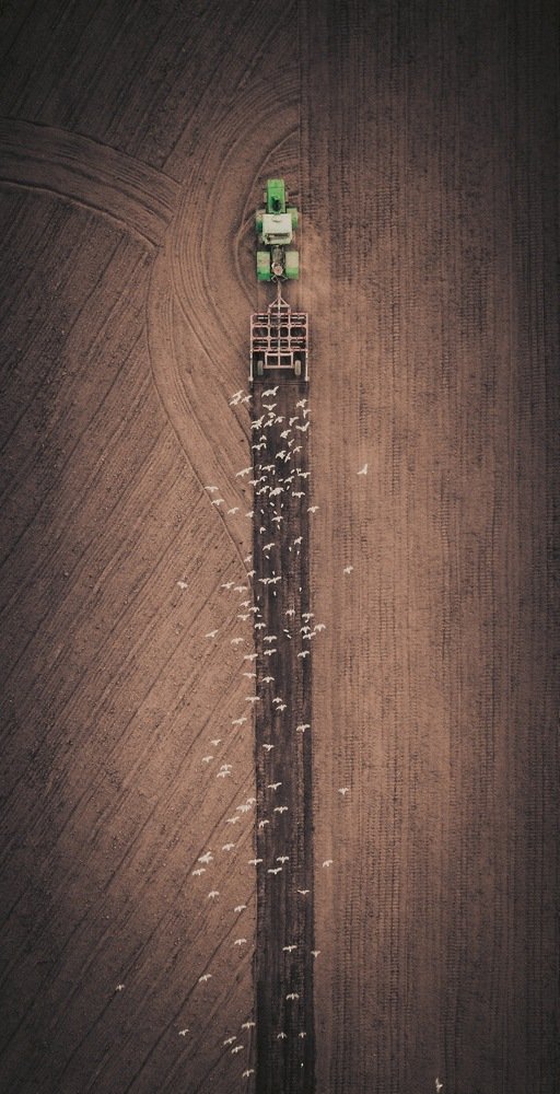 Симулятор фермы