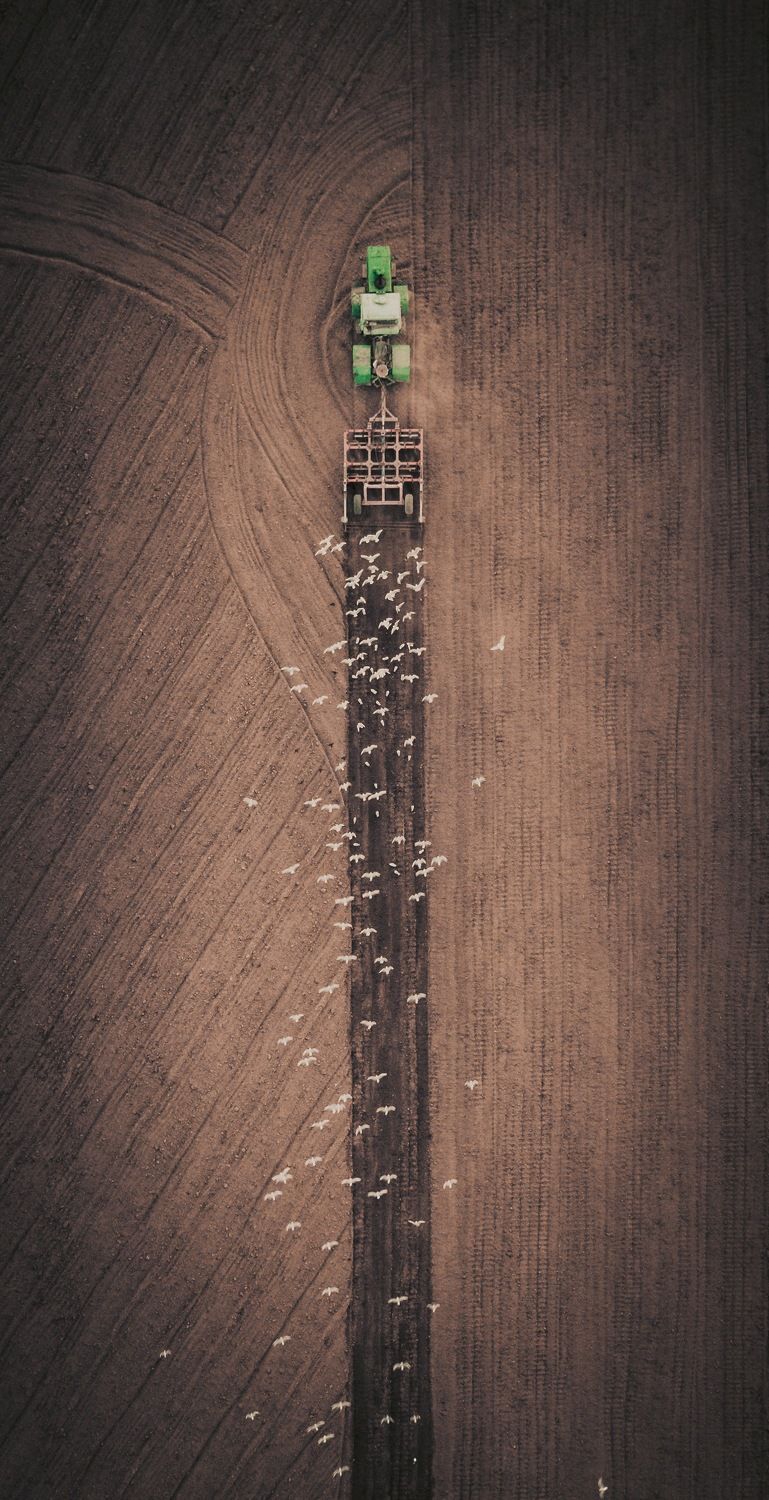 Симулятор фермы