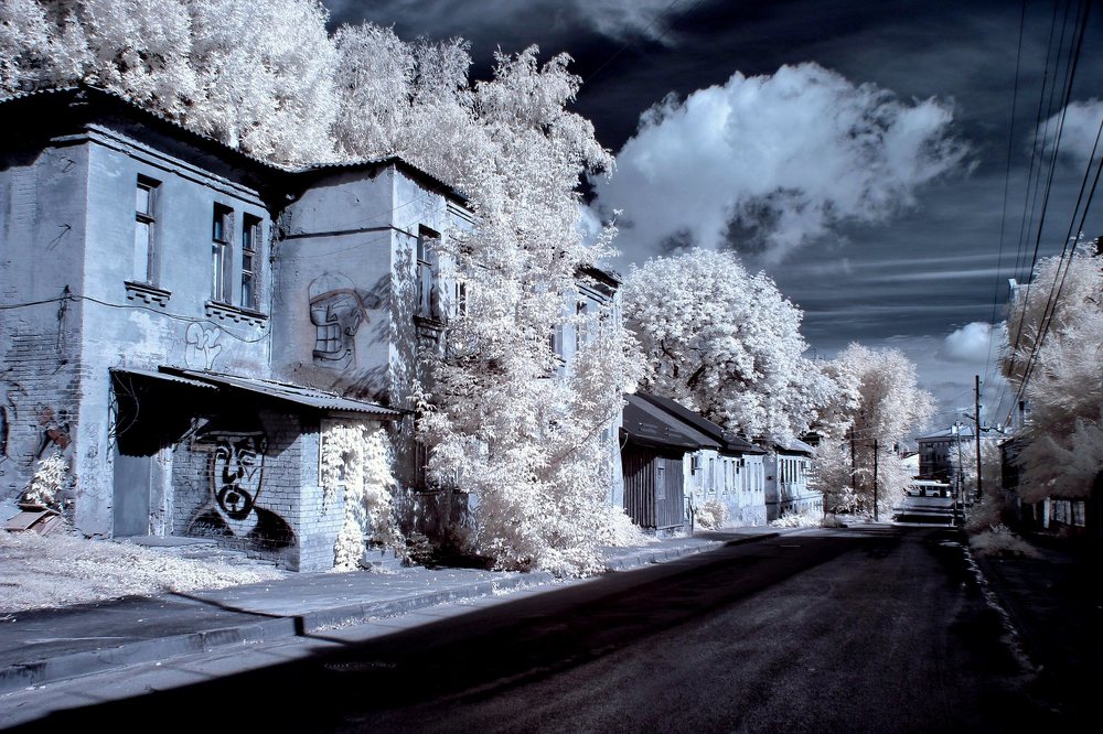 В лунном сиянии