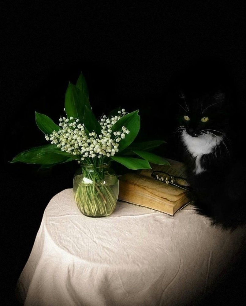 Майский вечер