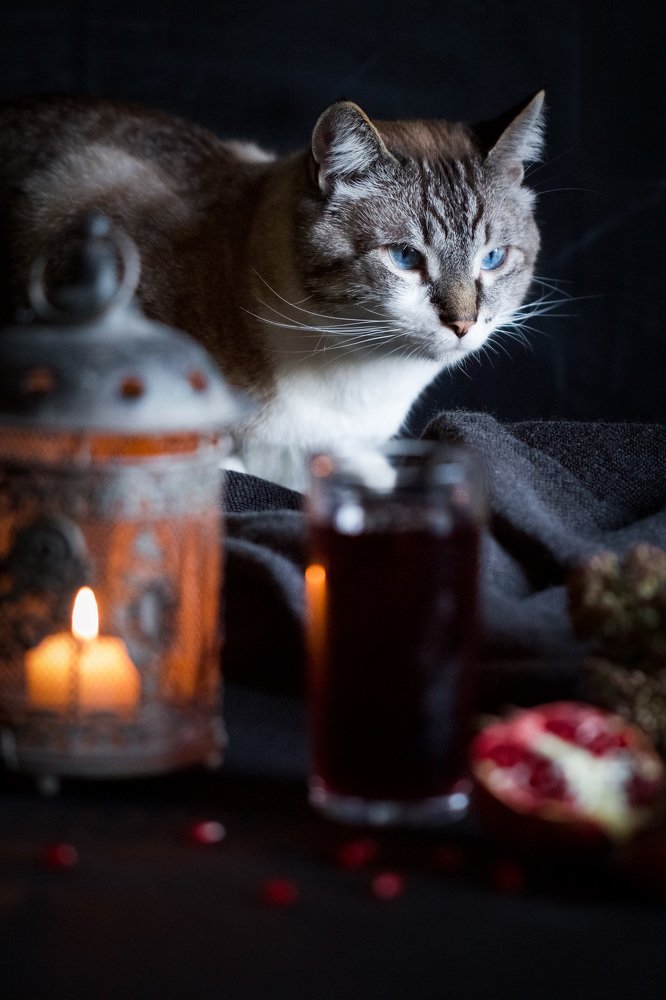 Photograph by Алла Вовк