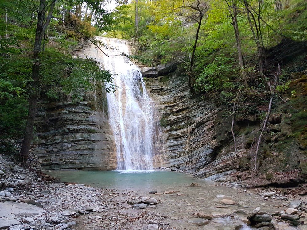 Родные места