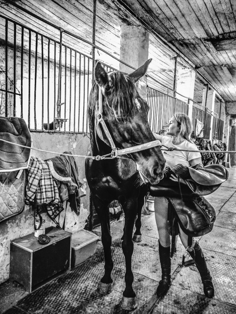 Несущие ветер